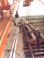 ����ľ�����