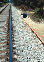 �����������������·