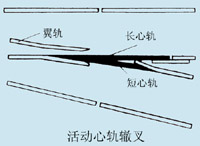 ��Ĺ��޲�