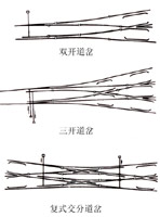 ���ֳ�������