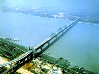 �Ž���������