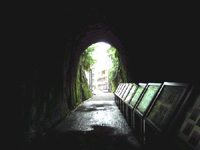 ʨ�����������ξ���