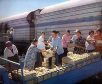 �����������